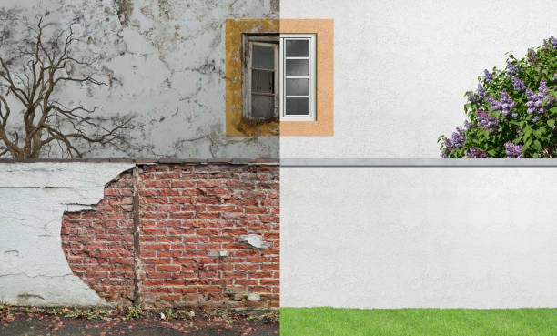 Best Real Estate Mold Inspection  in Rochester, WA